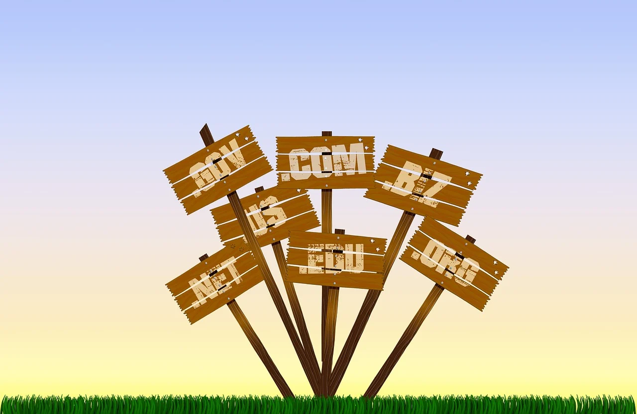 What Is a Web Domain and How Its Structure Works