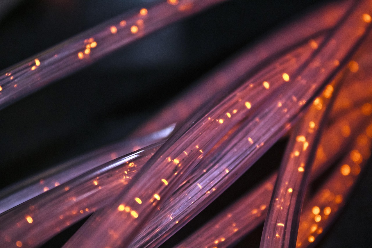 Differences Between a Dedicated IP and a Shared IP