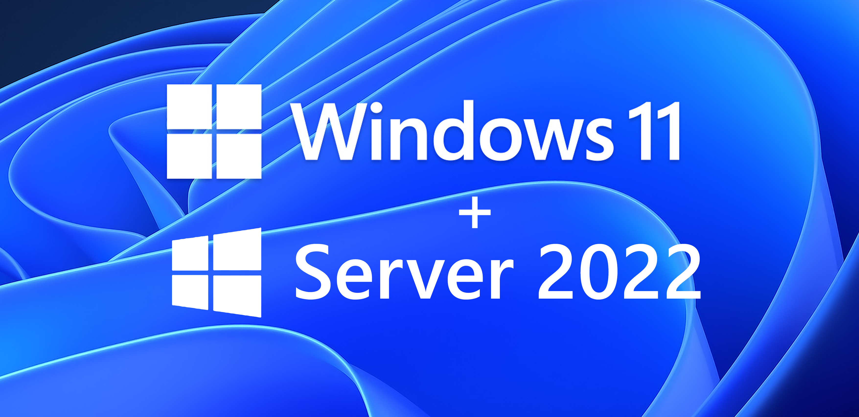 VPS Windows – Puterea unui server dedicat cu simplitatea Windows